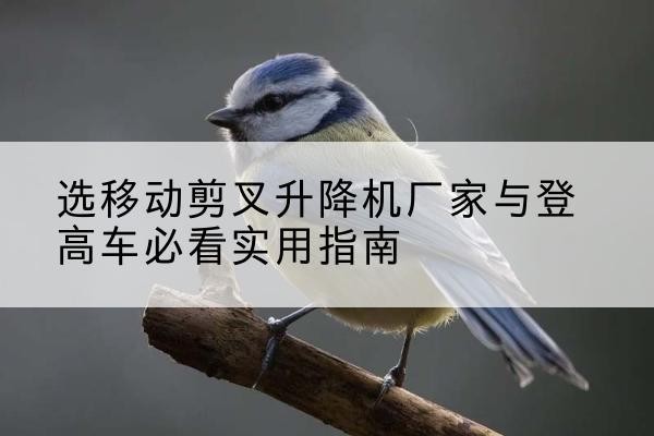 南谯电动升降机厂家-选移动剪叉升降机厂家与登高车必看实用指南