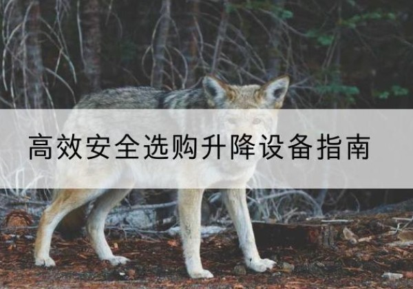 南谯升降货梯厂家推荐-*安全选购升降设备指南