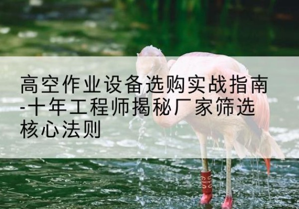 南谯剪叉式升降机厂家-高空作业设备选购实战指南-十年工程师揭秘厂家筛选核心法则